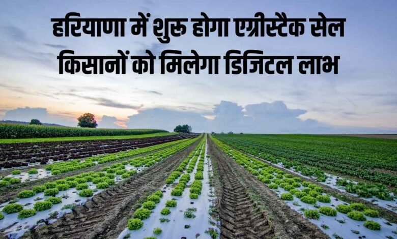 हरियाणा में शुरू होगा एग्रीस्टैक सेल, किसानों को मिलेगा डिजिटल लाभ