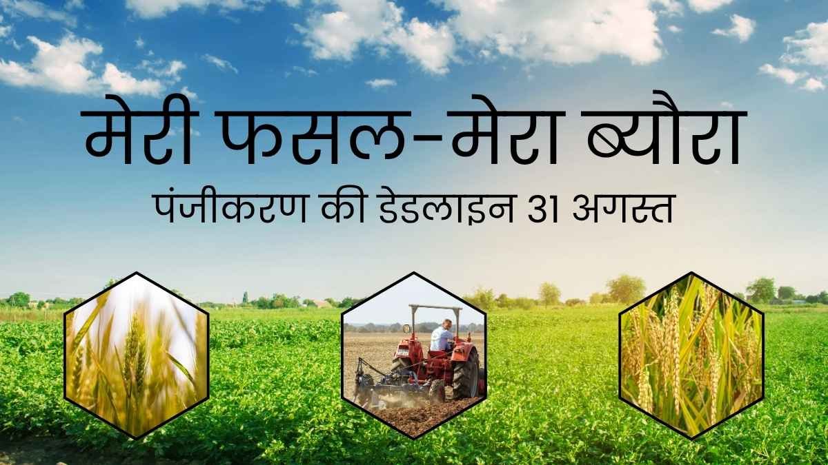 Last chance for farmers in Haryana! Deadline for 'Meri Fasal-Mera Byora' registration is 31st August