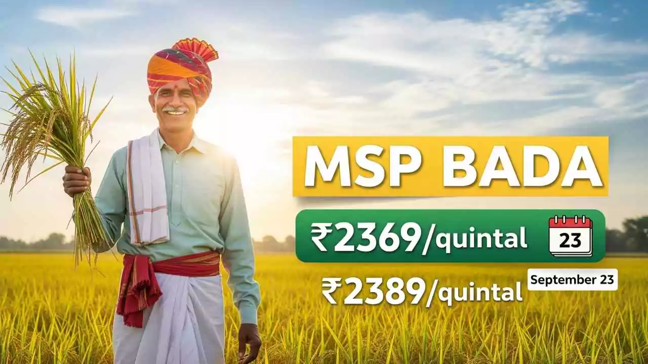 हरियाणा के किसानों के लिए बड़ी राहत: MSP बढ़ा, 23 सितंबर से शुरू होगी धान खरीद