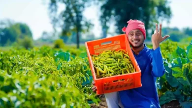 PM Kisan Yojana 21st Installment: 21वीं किस्त जारी, बाढ़ प्रभावित किसानों को मिली राहत