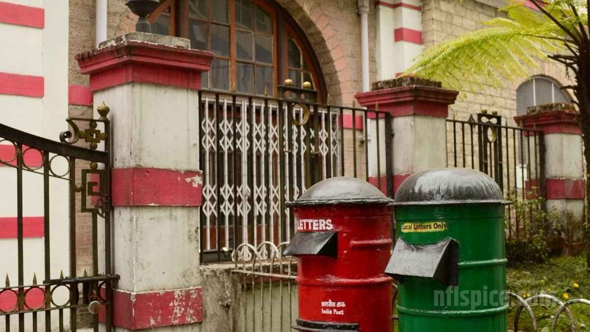 अमेरिका के लिए डाक सेवा बंद: ना चिट्ठी जायेगी और ना ही डिलीवरी होगा कोई तोहफा, ये बड़ी वजह आई सामने