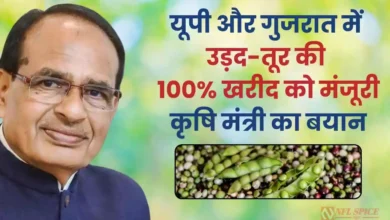 MSP Boost: यूपी और गुजरात में उड़द-तूर की 100% खरीद को मंजूरी, कृषि मंत्री का बयान