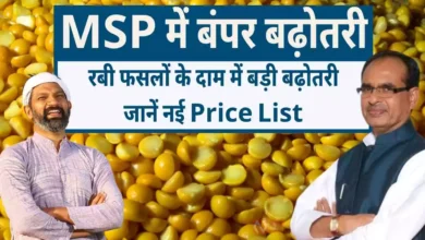 MSP New List 2026 - 27 Rabi Crops Price Increase