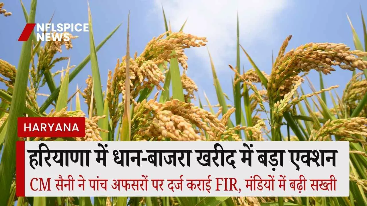 हरियाणा में धान-बाजरा खरीद में बड़ा एक्शन: CM सैनी ने पांच अफसरों पर दर्ज कराई FIR, मंडियों में बढ़ी सख्ती