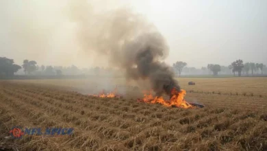 हरियाणा में इन किसानों को मिलेंगे 1200 रुपये प्रति एकड़, सरकार ने किया ऐलान