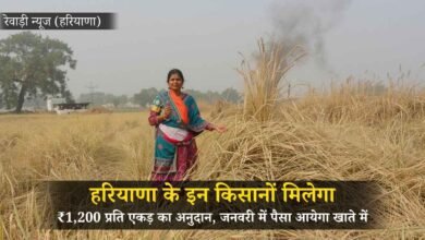 हरियाणा में पराली संभालने वाले किसानों को मिलेगी बड़ी राहत, जनवरी में आएगा 1200 रुपये प्रति एकड़ अनुदान