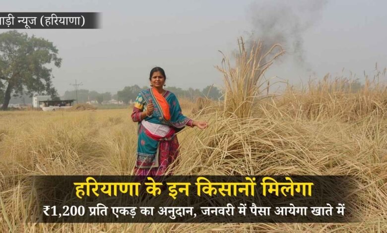 हरियाणा में पराली संभालने वाले किसानों को मिलेगी बड़ी राहत, जनवरी में आएगा 1200 रुपये प्रति एकड़ अनुदान
