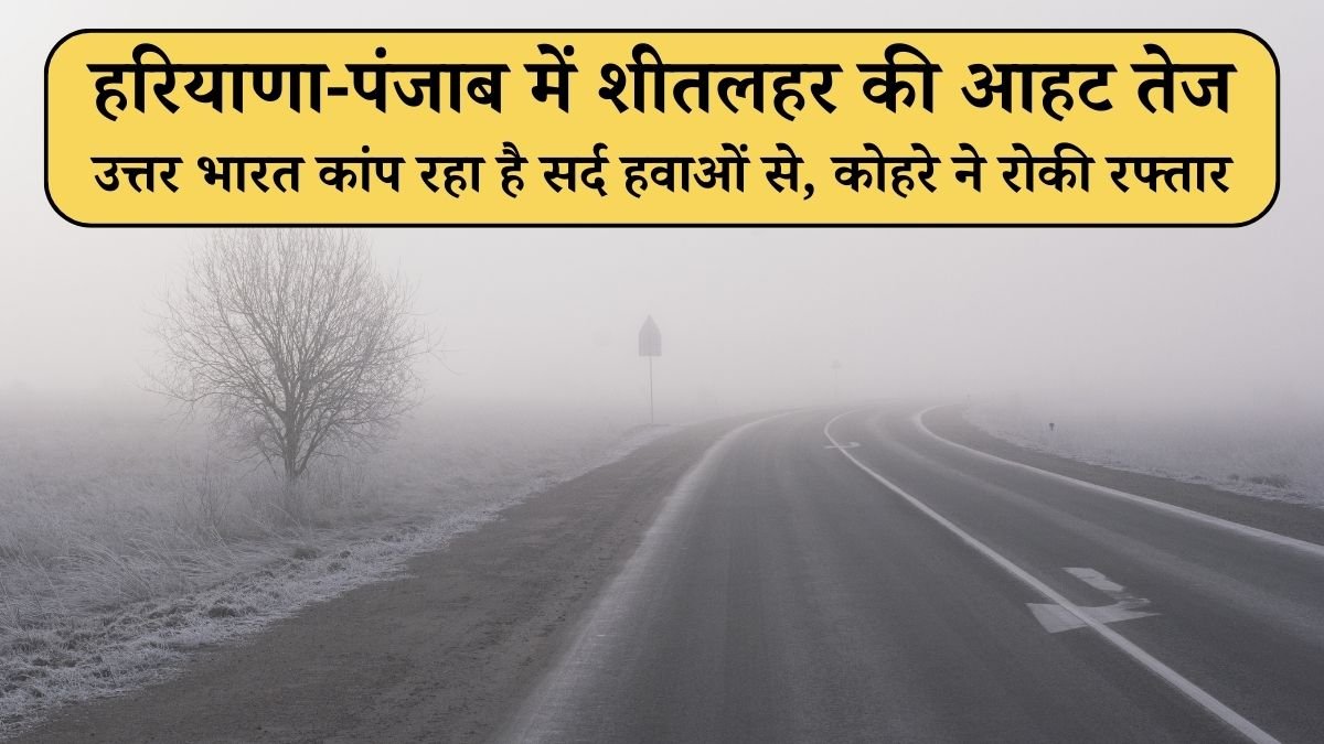उत्तर भारत कांप रहा है सर्द हवाओं से, कोहरे ने रोकी रफ्तार: हरियाणा-पंजाब में शीतलहर की आहट तेज