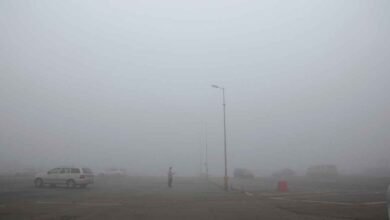 उत्तर भारत में घने कोहरे का असर: उड़ानों में देरी, AAI की एडवाइजरी, कई राज्यों में ऑरेंज अलर्ट