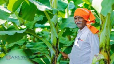 PM-Kisan में बड़ा अपडेट: एक परिवार को क्यों मिलती है सिर्फ 6000 की मदद? जानिए किसे मिलेगा फायदा और कौन होगा बाहर