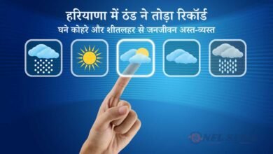 haryana-cold-wave-fog-weather-update